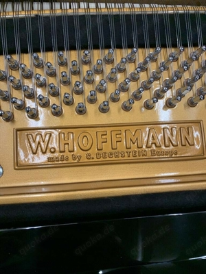 W. Hoffmann V-158 Flügel Bild 5