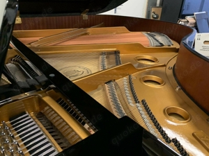 W. Hoffmann V-158 Flügel Bild 6