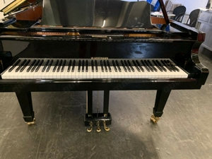 W. Hoffmann V-158 Flügel Bild 7