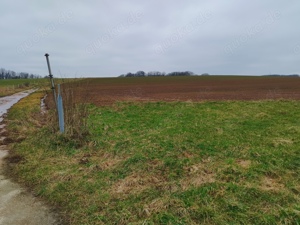 Grundstück zu verkaufen Bild 4