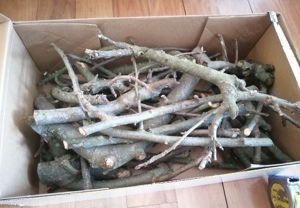 1 Karton Bio Apfel Knabberholz (Boskoop), für Nager unbehandelt