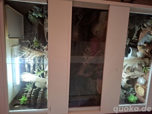 3er Kunststoff Terrarium 