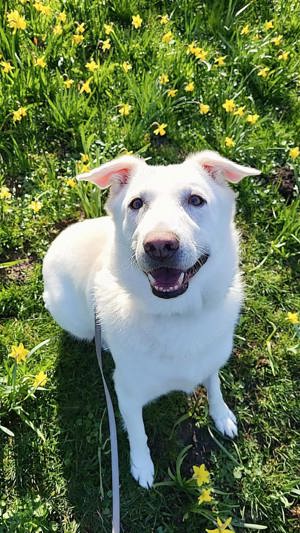 Buddy Buddy  Bild 10