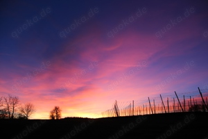Sunset-Shooting, Fotograf, TFP