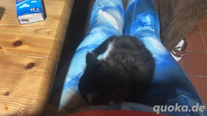 kater