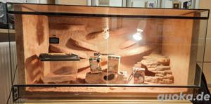 Terrarium mit viel Zubehör 