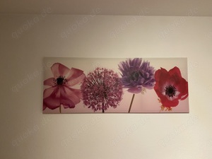 Blumenbild mehrfarbig 