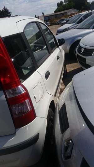 Fiat Panda 1.1 8V Active (169) Bild 4