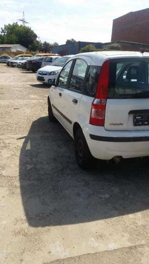 Fiat Panda 1.1 8V Active (169) Bild 5