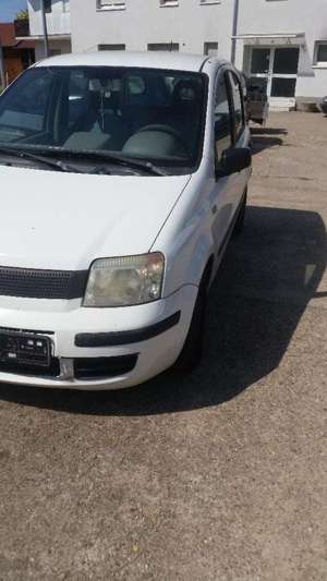 Fiat Panda 1.1 8V Active (169)