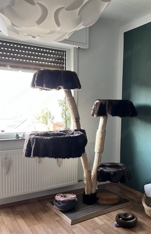 Naturkratzbaum 