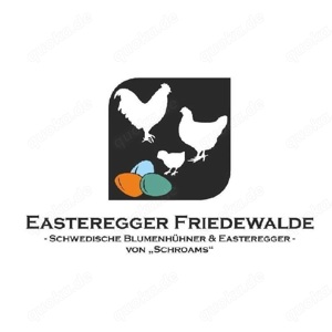 Grünleger Olivleger Türkisleger Buntleger Easteregger BE Bruteier Bild 10
