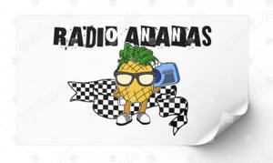 Ska aus KA: Radio Ananas sucht Gitarrist:in!