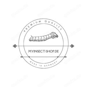 MyInsect frische Mehlwürmer   Premium-Naturfutter für Reptilien, Vögel, Fische, Igel & Geflügel Bild 6