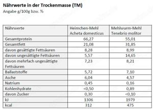 MyInsect frische Mehlwürmer   Premium-Naturfutter für Reptilien, Vögel, Fische, Igel & Geflügel Bild 7