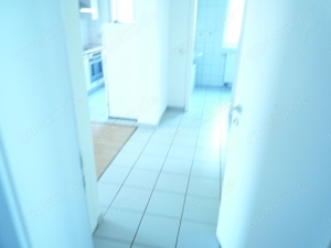 Neu! Schnuckelige 2ZKB mit Einbauküche, Terrasse, Grundstück etc. in Diemelstadt Bild 6