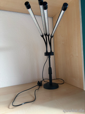 Pflanzenlampe