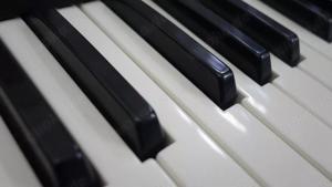 Alesis QS 7 Wohnzimmergerät mit QS Karte und Speicherkarten Bild 6