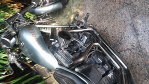 Harley Softtail Kodlin Umbau Bild 10
