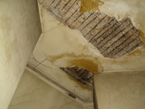 Gutachter Hilfe bei Schimmel zum besten Preis