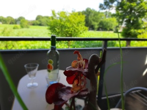 Ferienwohnung Monteurzimmer Friesoythe Oldenburg Bild 10