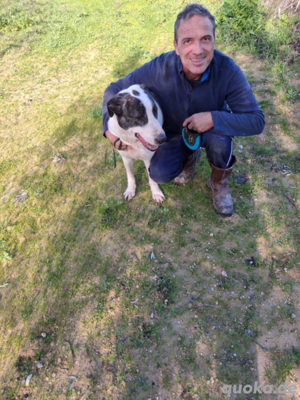 Chance für Lady Bild 5