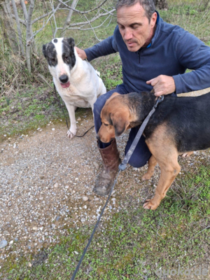 Chance für Lady Bild 3