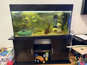 Aquarium 250 Liter mit viel Zubehör