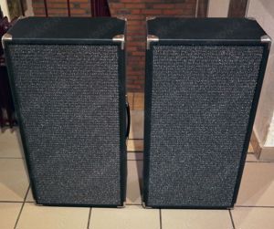 2x12" Vintage-Gesangsboxen