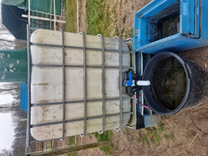Mehrere IBC Wassertanks 