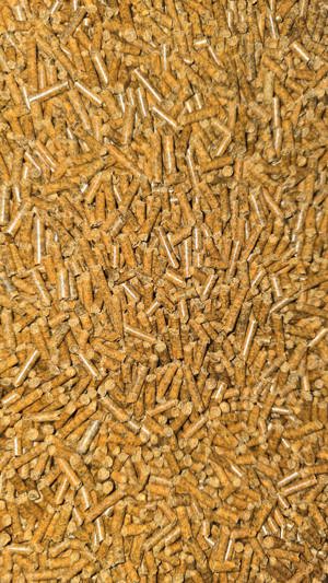  Hochwertige Karottenpellets   Natur pur für Hunde & Katzen! 