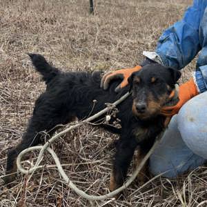 Marko, charmantes Energiebündel Bild 3