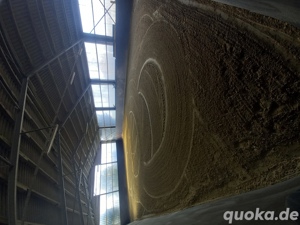 Gut Schnuck - hat noch Pferdeboxen mit Paddock frei Bild 3