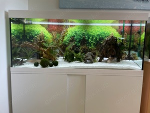EHEIM Vivaline 240 Liter Aquarium