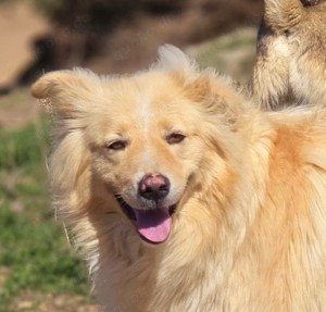 Bounty  sucht noch seine Traumfamilie.