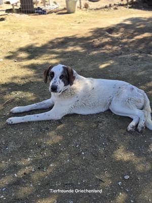 Gary ist ein cleveres Kerlchen  Bild 2