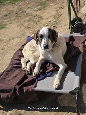 Gary ist ein cleveres Kerlchen  Bild 3