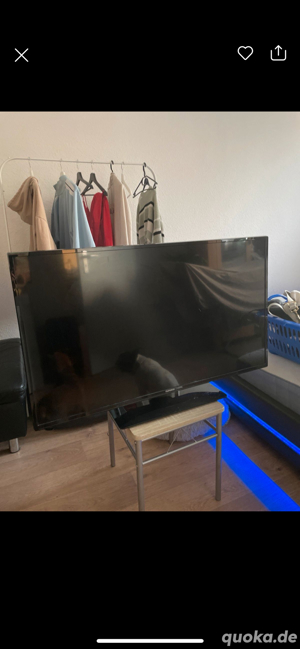 Fernseher
