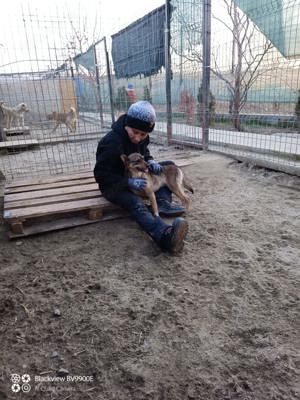 kleine Missy - wo ist mein Zuhause Bild 5