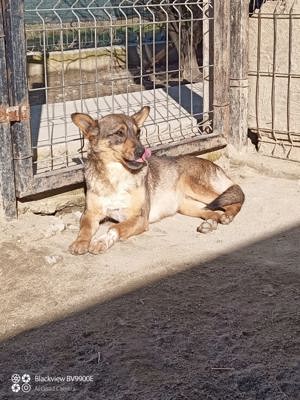 kleine Missy - wo ist mein Zuhause Bild 4