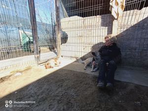 kleine Missy - wo ist mein Zuhause Bild 8