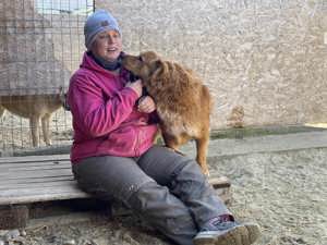 TEDDY - aktiv und menschenverliebt Bild 8