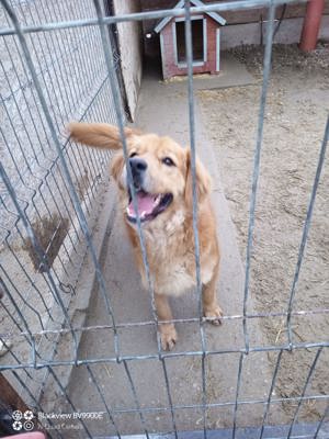 TEDDY - aktiv und menschenverliebt Bild 5