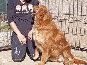 TEDDY - aktiv und menschenverliebt Bild 6