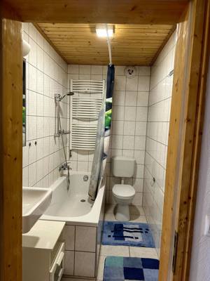 67374 Hanhofen (bei Speyer), Möbliertes Appartement zu vermieten