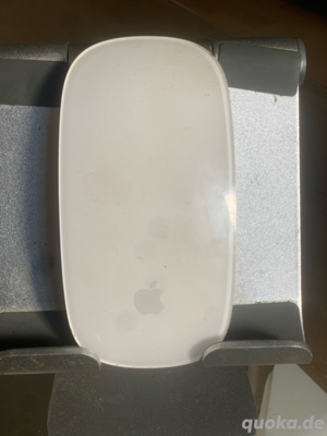 apple maus 