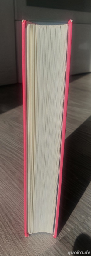 Buch "Winston - Ein Kater in geheimer Mission" Bild 4