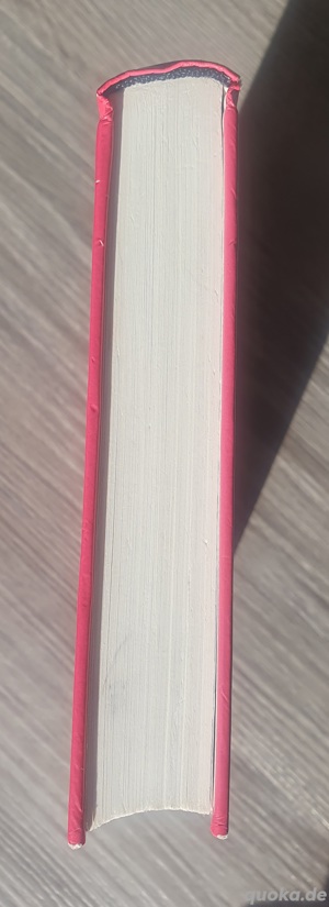 Buch "Winston - Ein Kater in geheimer Mission" Bild 5