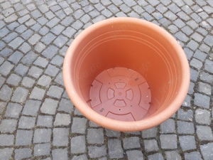 Blumentopf