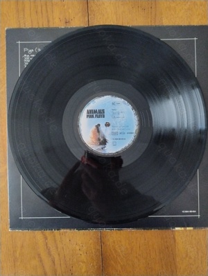 Pink Floyd ---Animals, Vinyl-LP, P1977, GER Bild 7